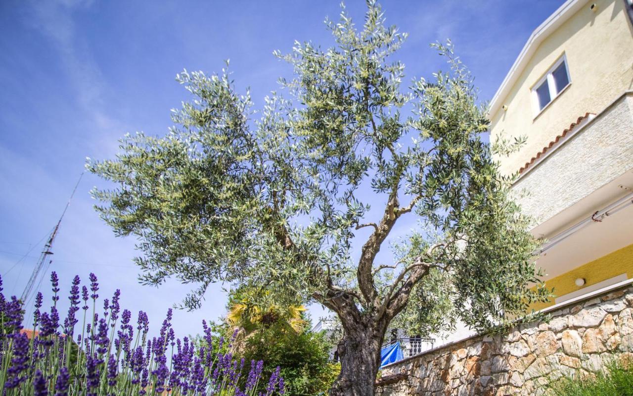 Apartments Balach Poreč Eksteriør billede